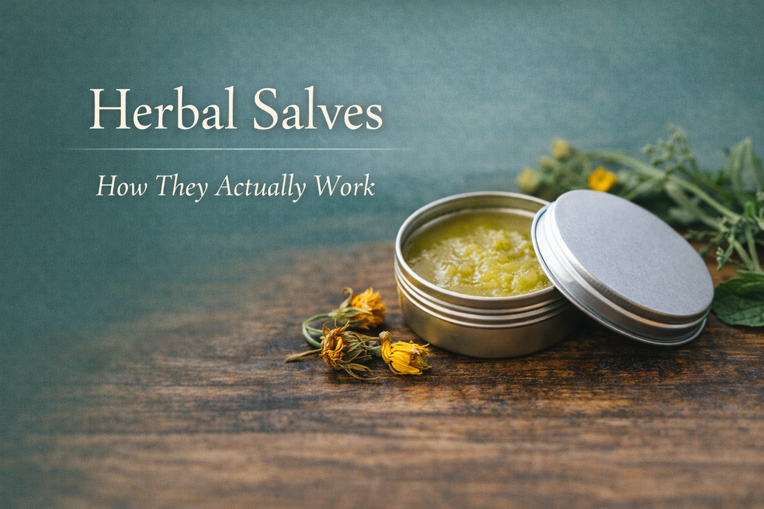 Open tin of herbal salve with calendula flowers and fresh herbs on wooden surface