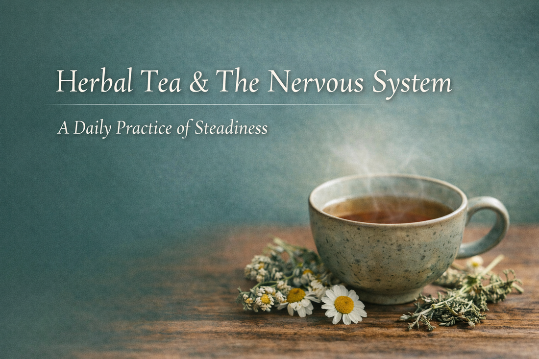Herbal Tea and the Nervous System: A Daily Practice of Steadiness