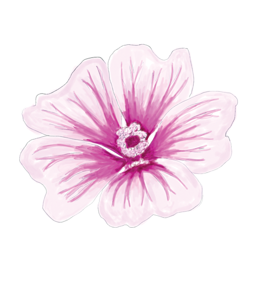 Hollyhock Flower Essence image 1