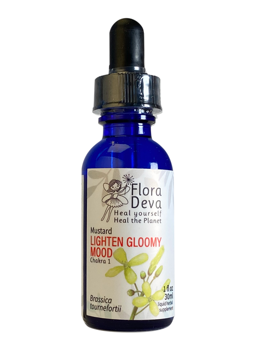 Mustard Flower Essence image 0