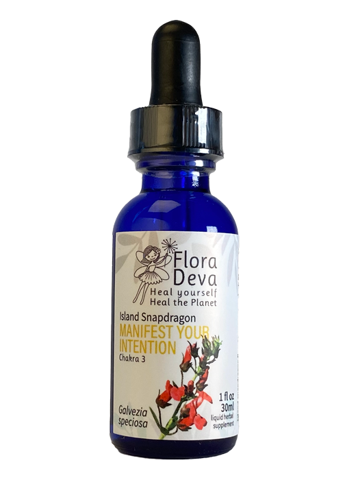 Island Snapdragon Flower Essence image 0