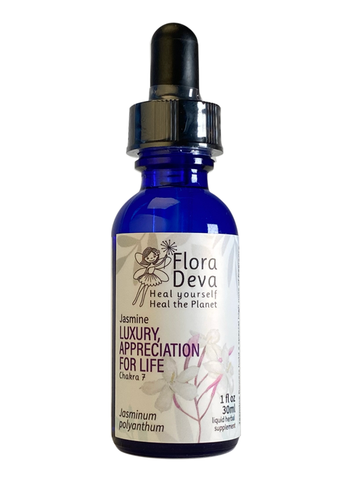 Jasmine Flower Essence image 0