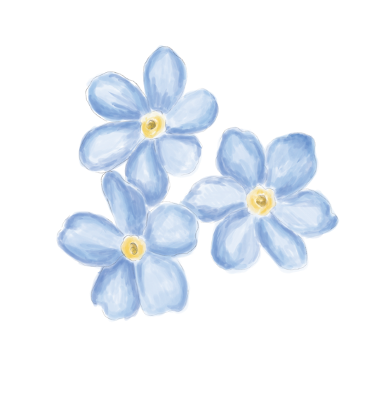 Forget-Me-Not Flower Essence image 1
