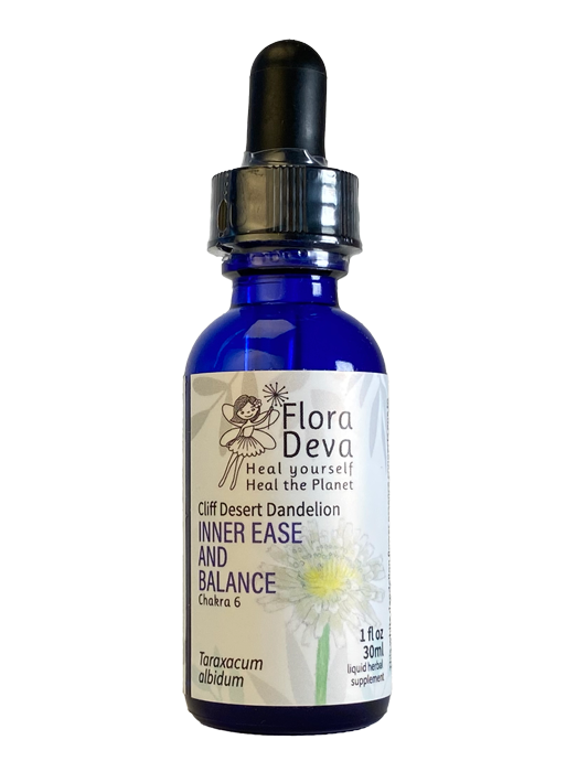 Cliff Desert Dandelion Flower Essence image 0