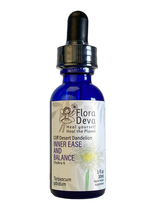 Cliff Desert Dandelion Flower Essence image 0