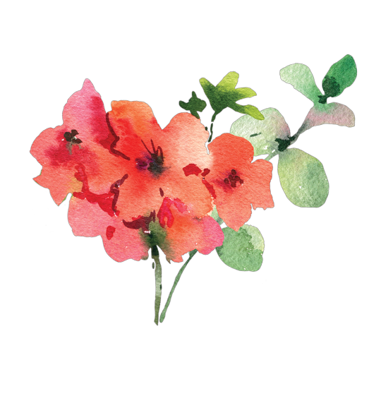 Rose Geranium Flower Essence image 2