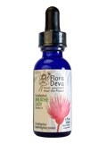Eucalyptus Flower Essence image 0
