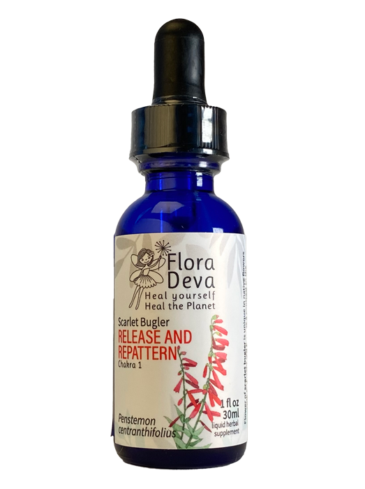 Scarlet Bugler Flower Essence image 0