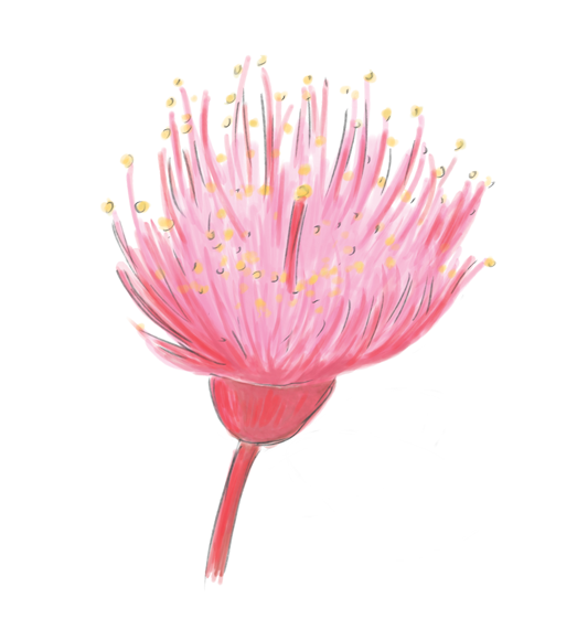 Eucalyptus Flower Essence image 1