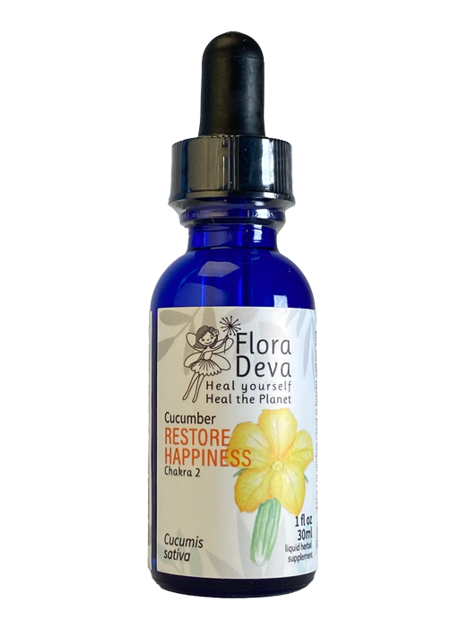 Cucumber Flower Essence image 0