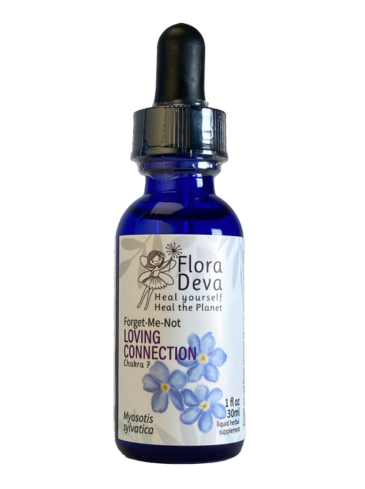 Forget-Me-Not Flower Essence image 0