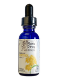 Goldenrod Flower Essence image 0