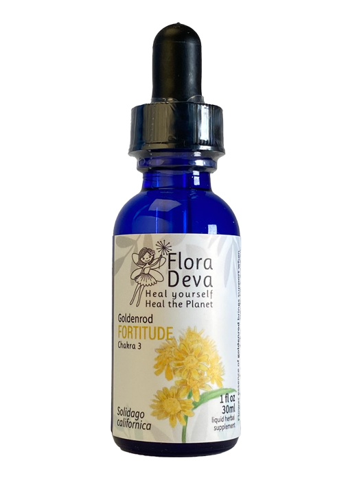 Goldenrod Flower Essence image 0