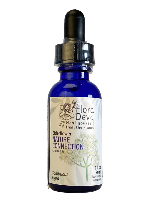 Elderflower Flower Essence image 0