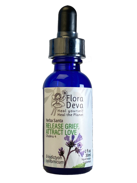 Yerba Santa Flower Essence image 0