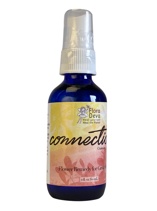 Flower Spray for Grounding- 'Connection' image 0