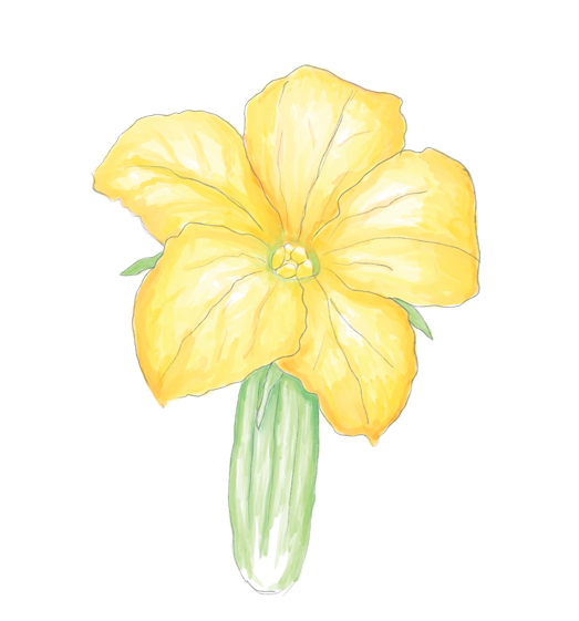 Cucumber Flower Essence image 1