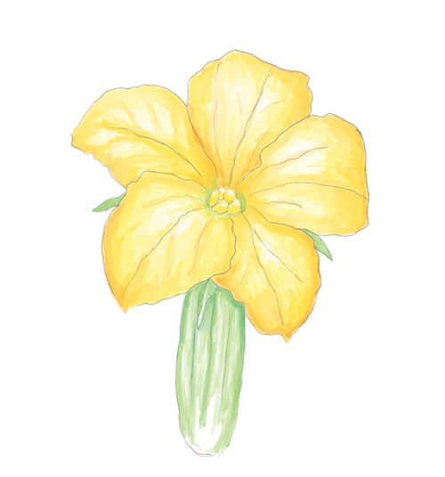 Cucumber Flower Essence image 1