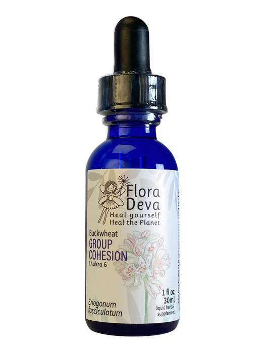 Buckwheat Flower Essence image 0