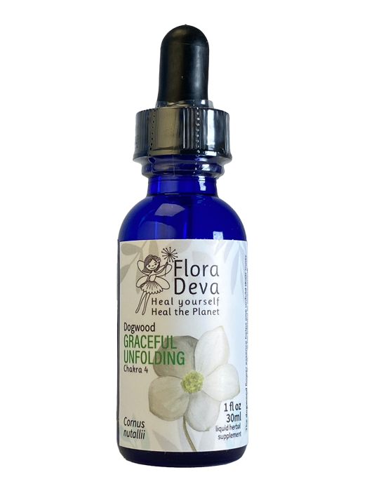 Dogwood Flower Essence image 0