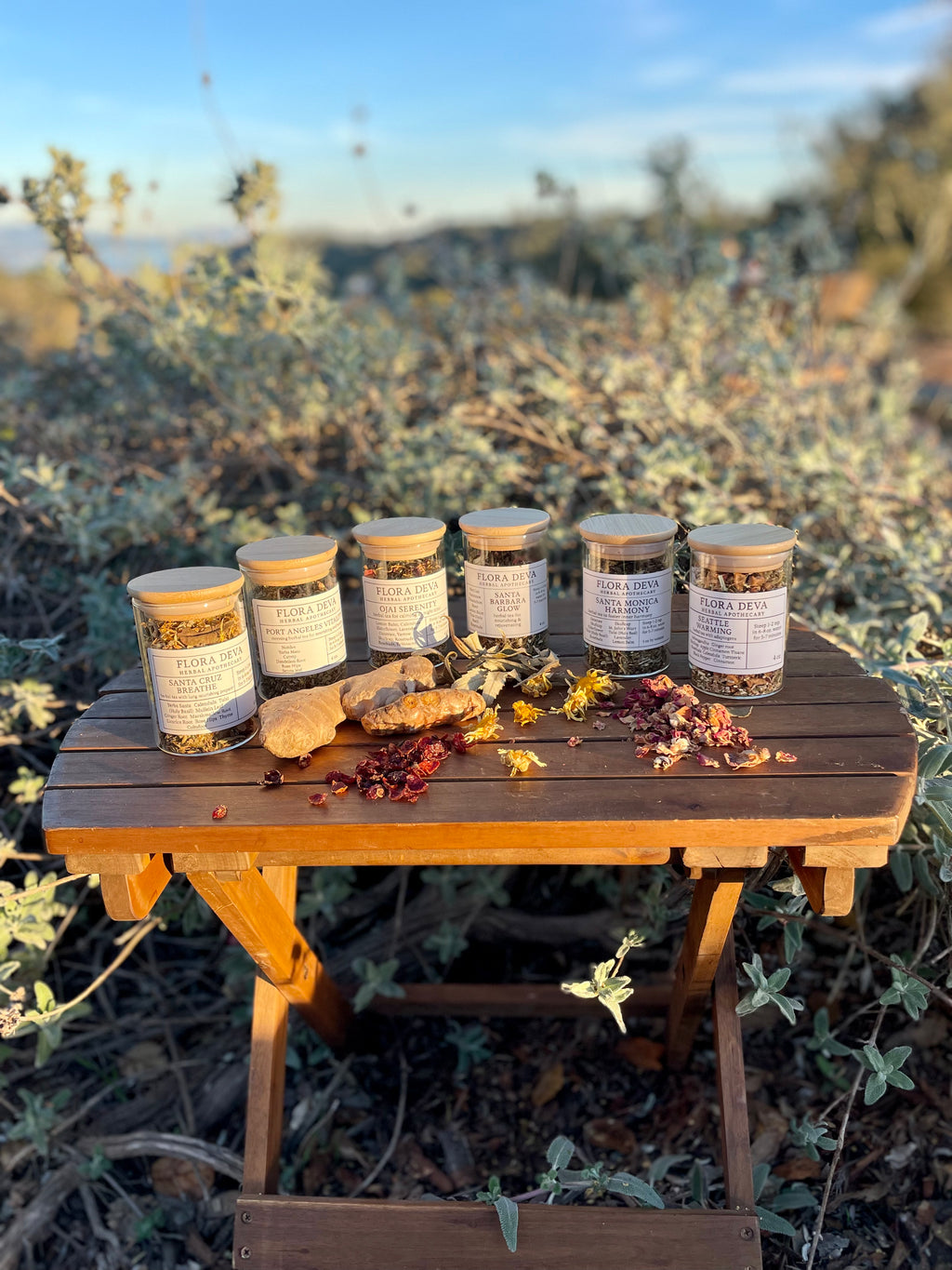 Redondo Beach Life Force — Herbal Tea Blend