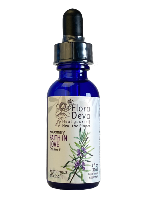 Rosemary Flower Essence image 0