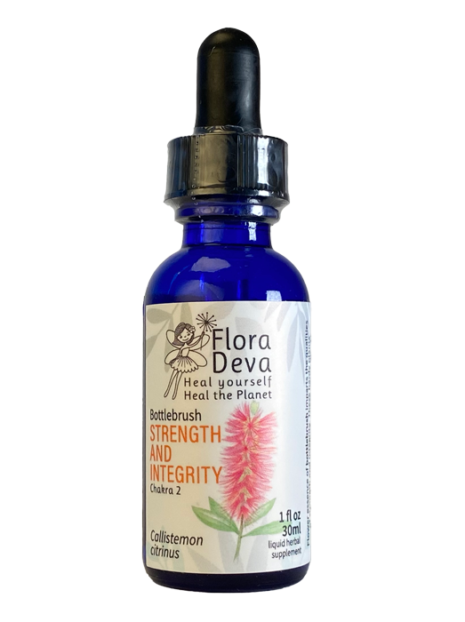 Bottlebrush Flower Essence image 0