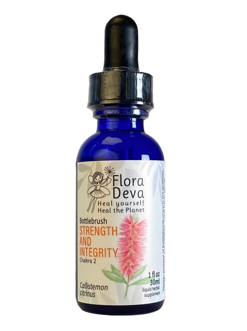 Bottlebrush Flower Essence image 0