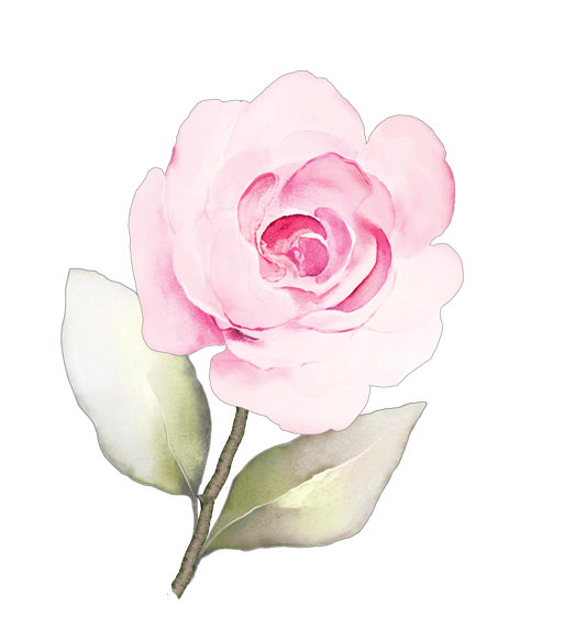 Rose D'Ispahan Flower Essence image 1