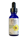 California Daisy Flower Essence image 0