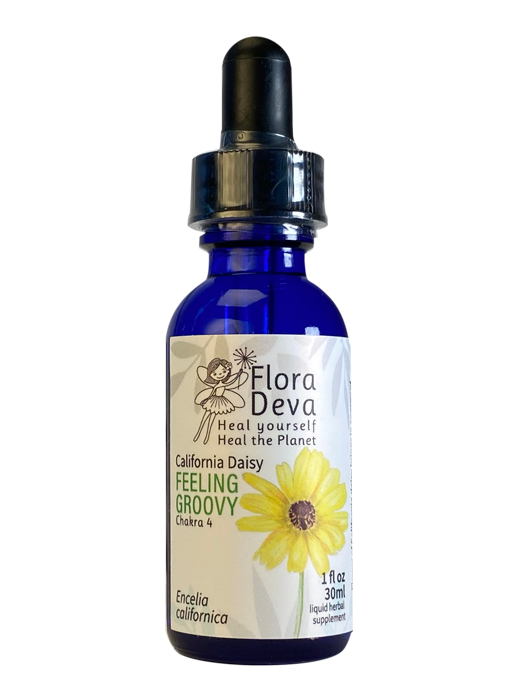California Daisy Flower Essence image 0