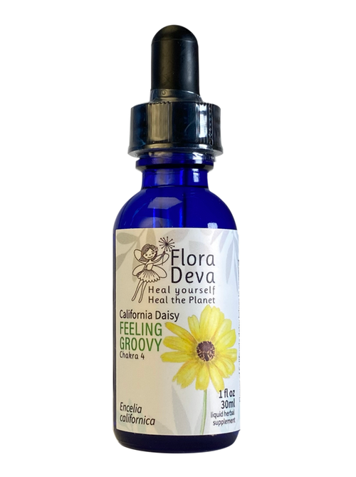 California Daisy Flower Essence image 0
