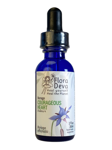 Borage Flower Essence | FloraDeva.com