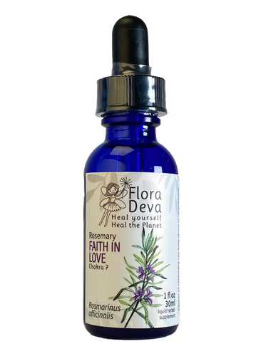Rosemary Flower Essence | FloraDeva.com