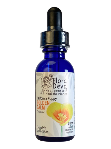 California Poppy Flower Essence | FloraDeva.com