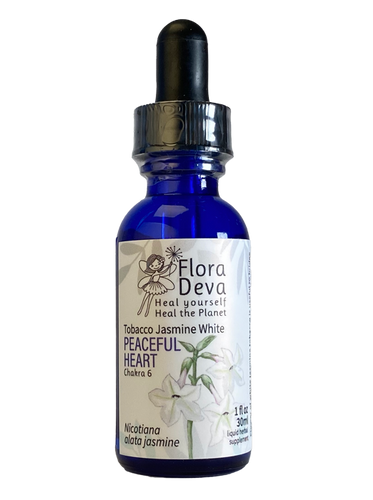 Nicotiana Alata Jasmine Flower Essence | FloraDeva.com